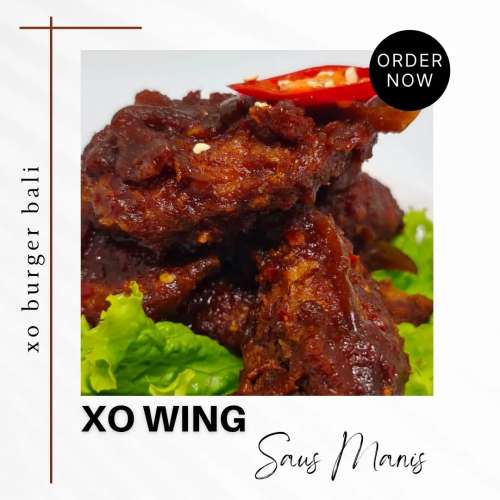 XO Wing
