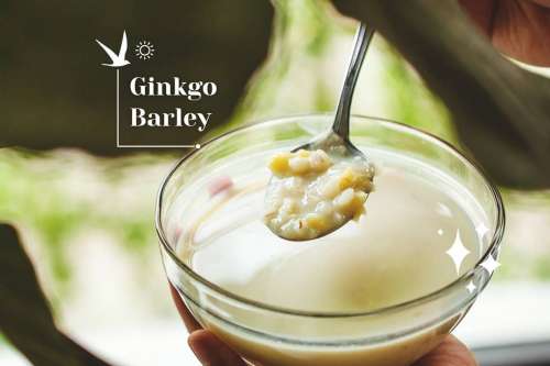Ginkgo Barley