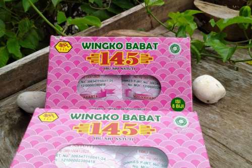 Wingko Babat 145