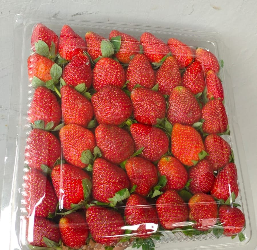 Strawberry Fresh