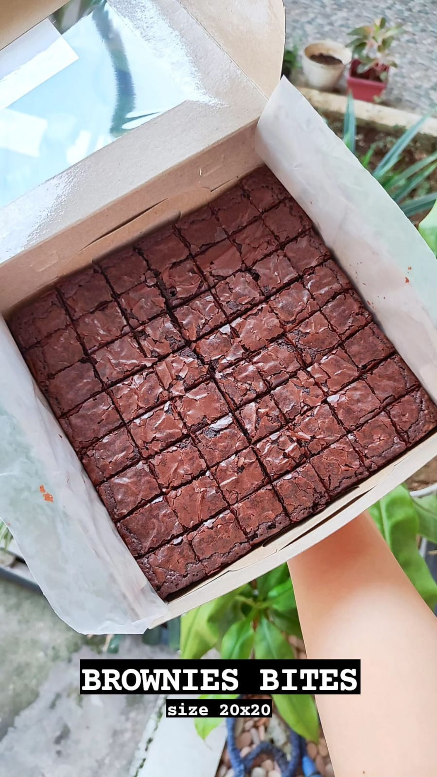 Brownies Bites - size 20x20