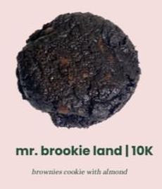 mr.brookie land