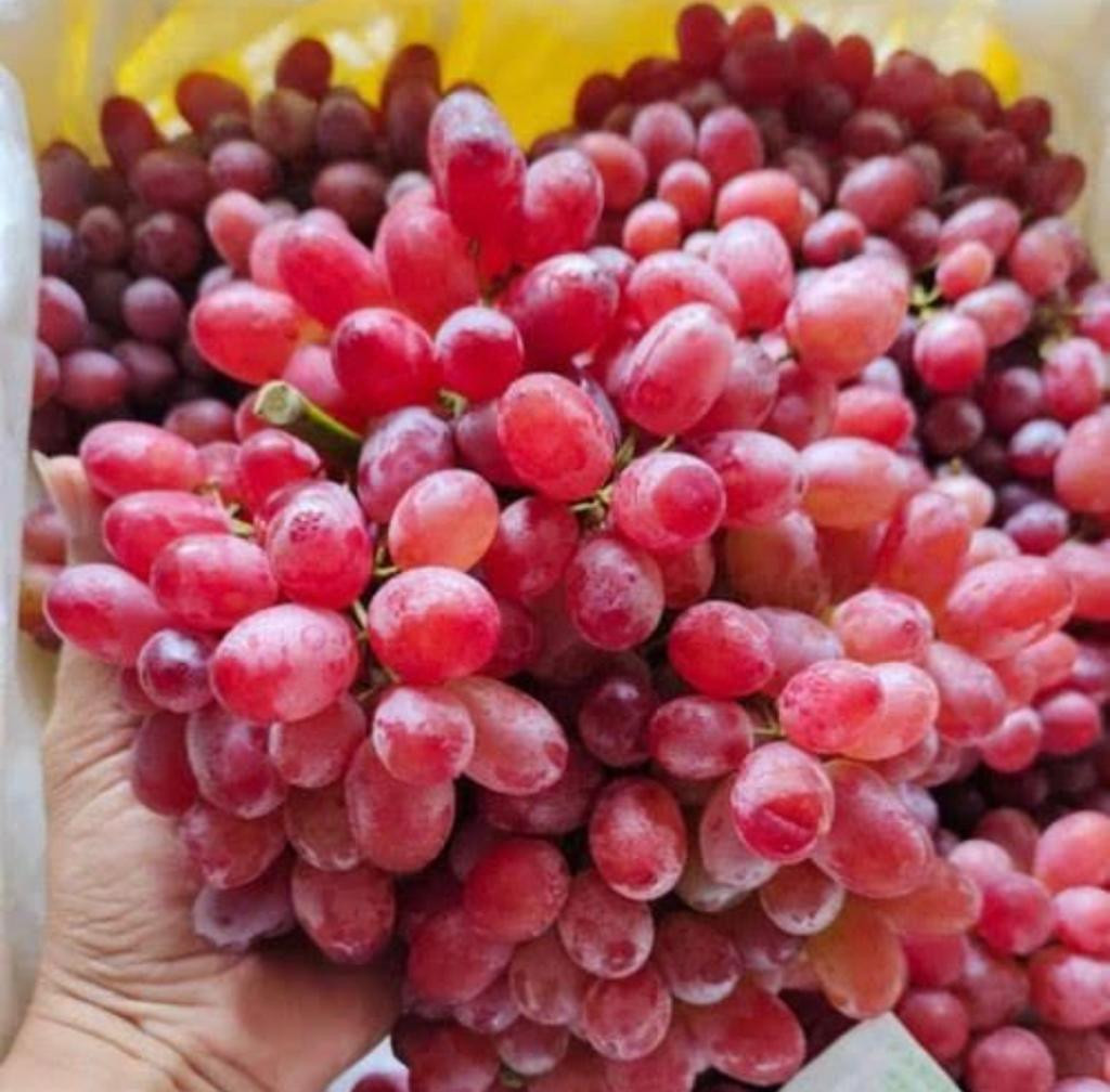 Anggur Crimson Australia