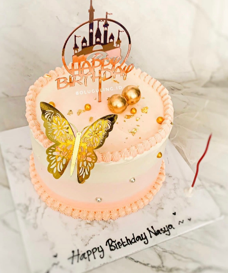 Butterflies Decor / MONEY CAKE