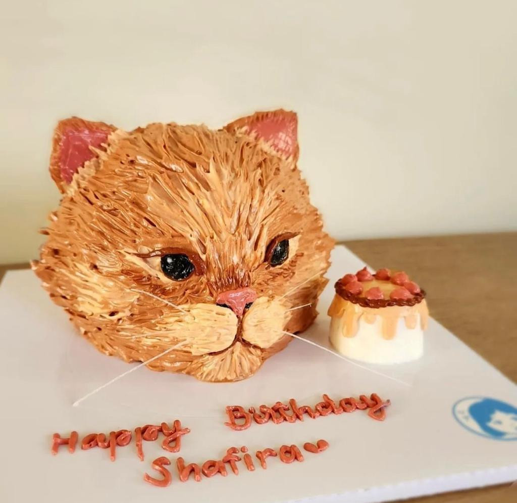 Custom Cake Cat