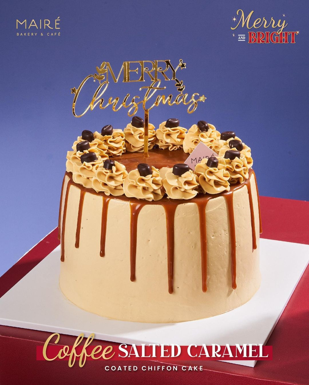Christmas Special Coated Chiffon Cake
