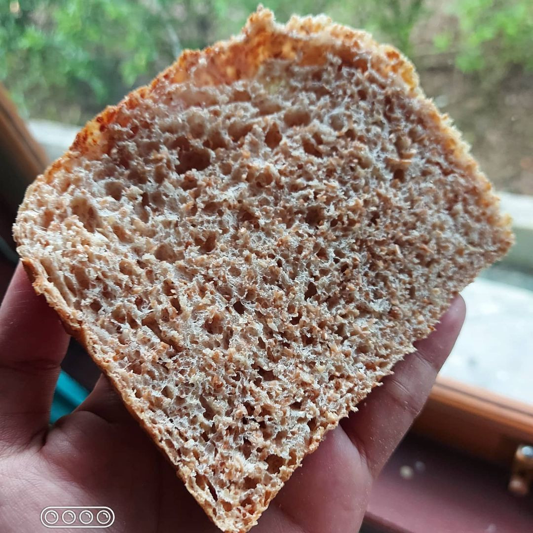 Roti Gandum