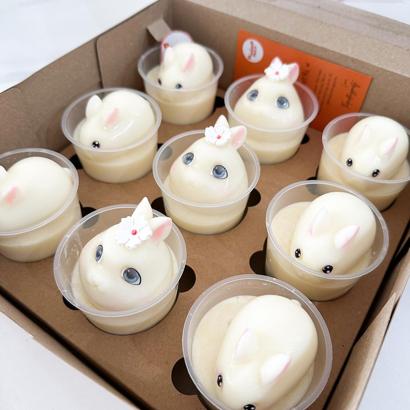 Puding Bunny Cup