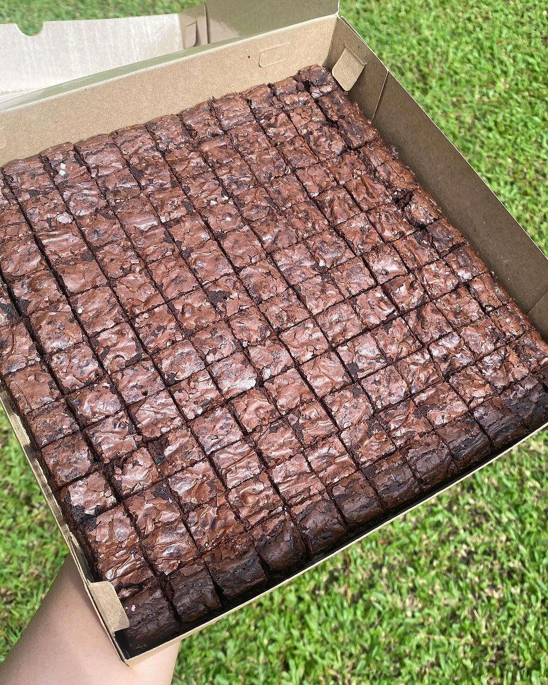 Brownies Premium